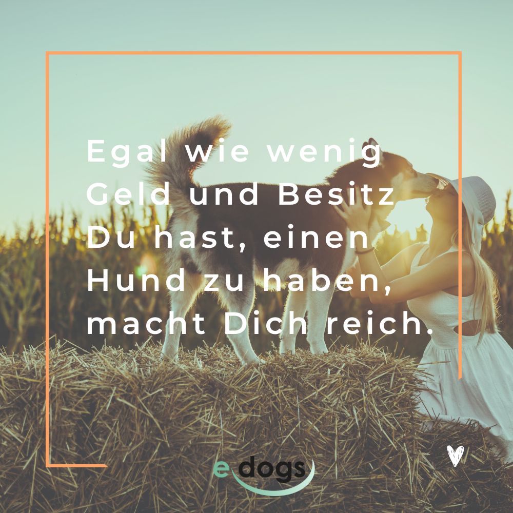 Hundesprüche zum Nachdenken: Egal wie wenig Geld und Besitz du hast, einen Hund zu haben, macht dich reich.