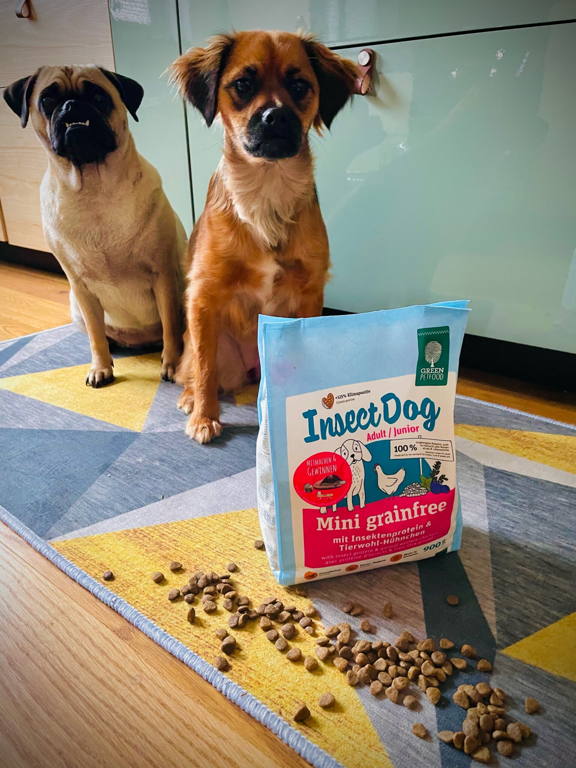 Green Petfood Test edogs Magazin