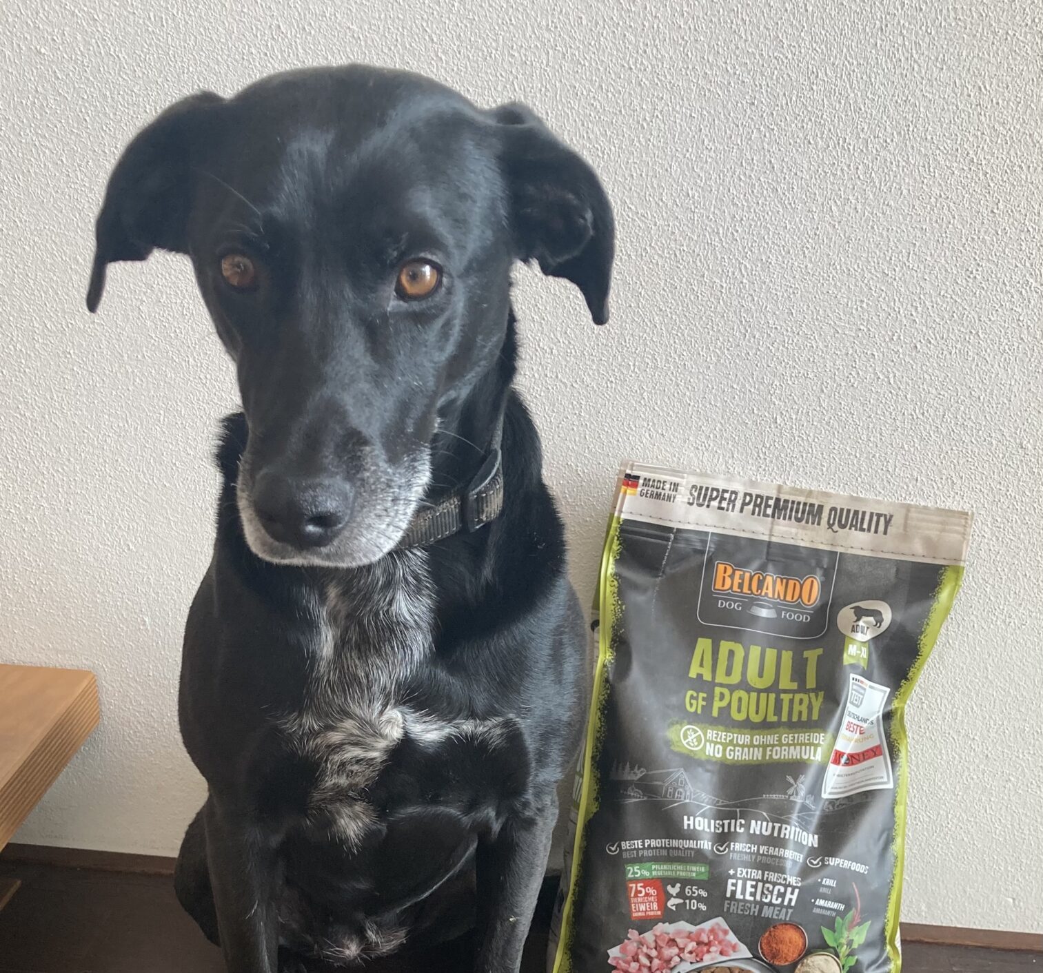 Gabriele und Hund Trixi