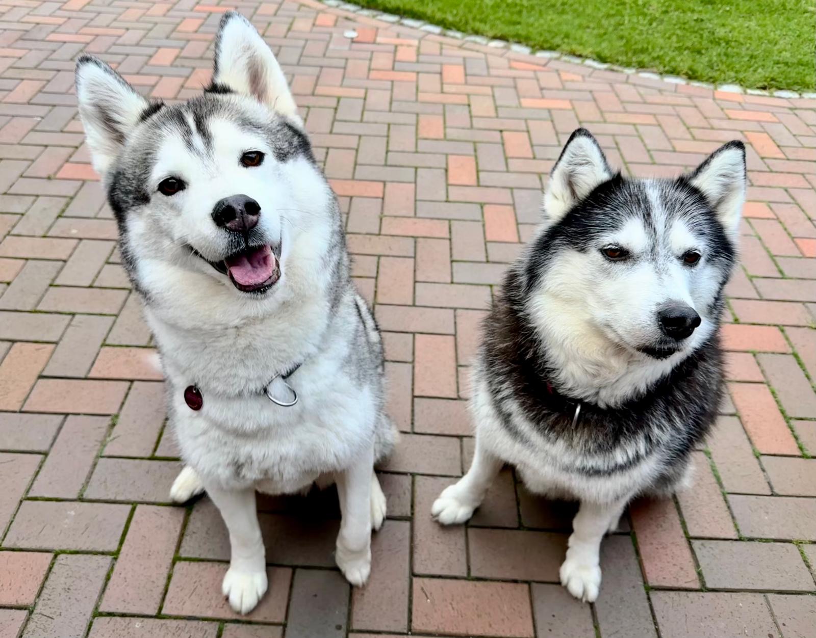 Kaya Madleen mit ihren beiden Hunden
