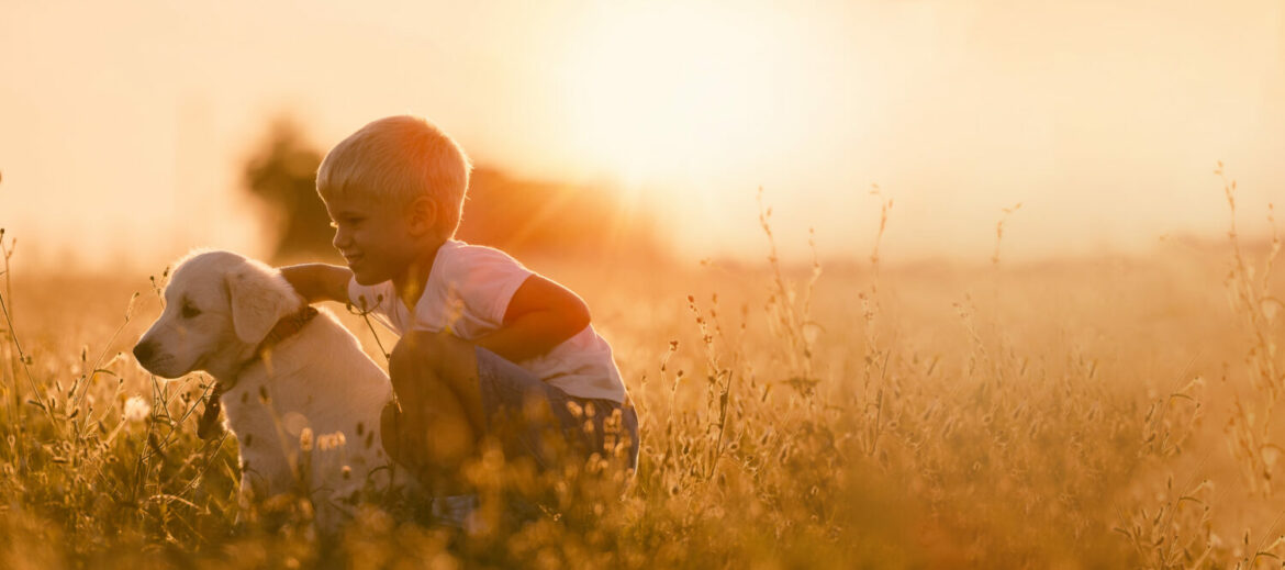 Impfplan für Welpen Vorteile &amp; Nebenwirkungen edogs Magazin
