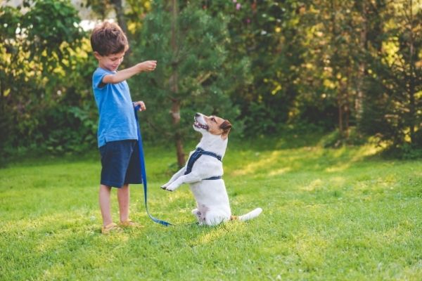 Kind übt Trickdogging mit Hund