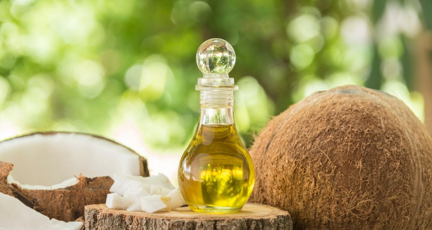 Kokosöl für den Hund: Wirkung & Dosierung | edogs Magazin