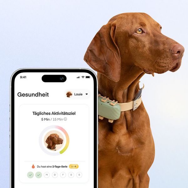 Lassie Hundeversicherung mit GPS Tracker von Tractive