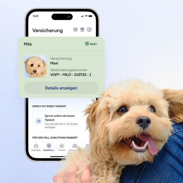 Lassie Hundeversicherung: Vorsorgekonzept