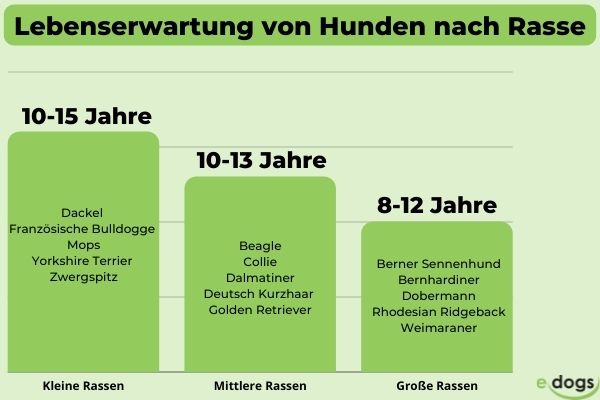 Lebenserwartung Hund Grafik