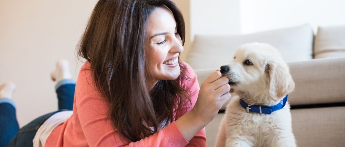 Leinöl für Hunde