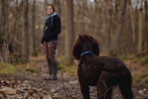 Spaziergang mit Hund