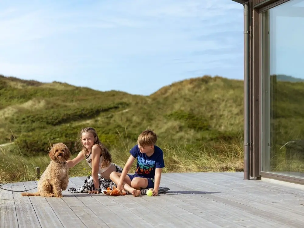 Pudel mit Kindern im Ferienpark in Dänemark