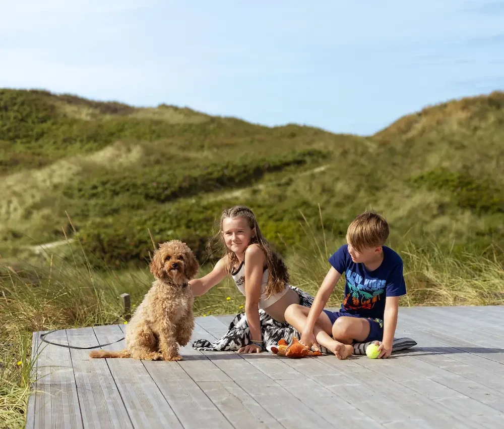 Pudel mit Kindern im Ferienpark in Dänemark