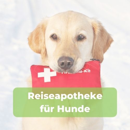 reiseapotheke-download-bild