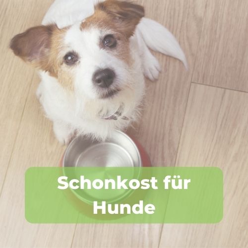 schonkost-download-bild