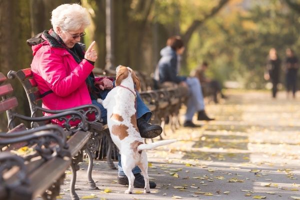 Hunderassen für Senioren: Seniorin mit Hund im Park