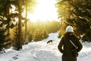 Wald Spaziergang