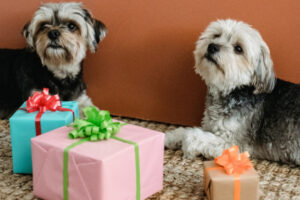Hunde mit Geschenken