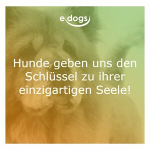 60+ Beste Hundesprüche & Weisheiten edogs.de Magazin