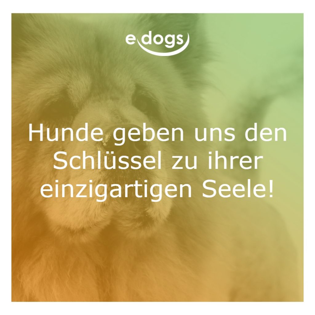 sprueche-hunde-2 Sprüche Hunde