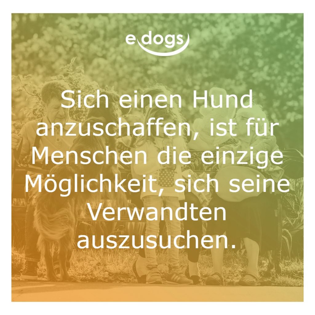 50+ Beste Hundesprüche & Weisheiten edogs.de Magazin