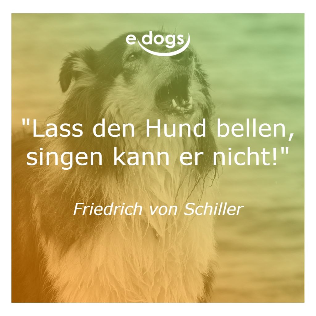 sprueche-hunde-4 Sprüche Hunde