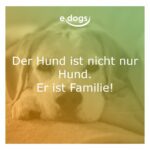 50+ Beste Hundesprüche & Weisheiten edogs.de Magazin