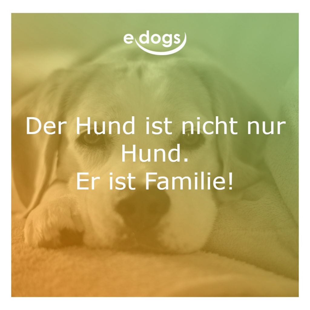 50+ Beste Hundesprüche & Weisheiten edogs.de Magazin