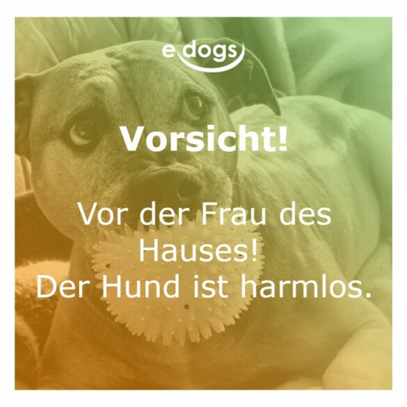 50+ Beste Hundesprüche & Weisheiten edogs.de Magazin
