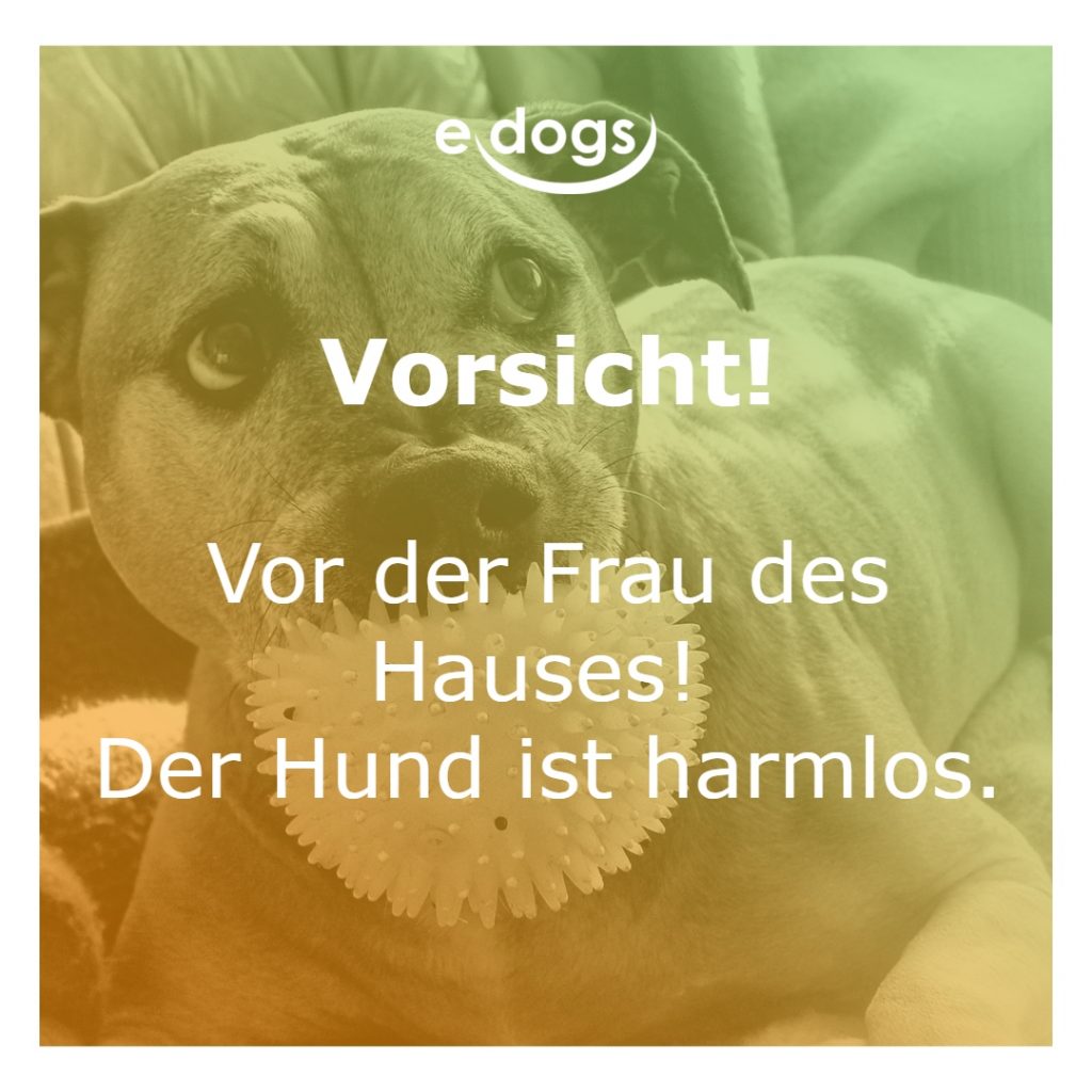 sprueche-hunde-8 Sprüche Hunde