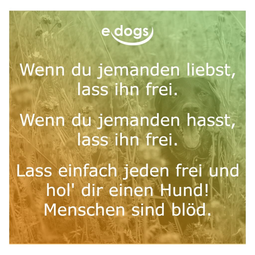 sprueche-hunde-9 Sprüche Hunde