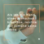 Die 80 schönsten Hundesprüche mit Bildern edogs.de Magazin