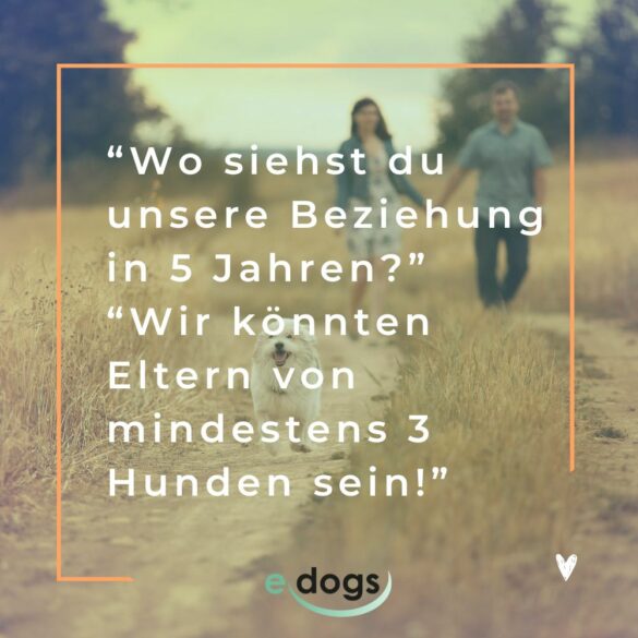 Die 80 schönsten Hundesprüche mit Bildern edogs.de Magazin