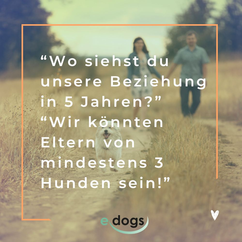 Sprüche Hundeliebe: Wo siehst du unsere Beziehung in 5 Jahren? Wir könnten Eltern von mindestens 3 Hunden sein!