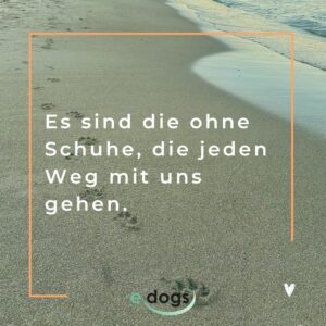 Die 80 schönsten Hundesprüche mit Bildern edogs.de Magazin
