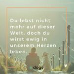 Die 80 schönsten Hundesprüche mit Bildern edogs.de Magazin