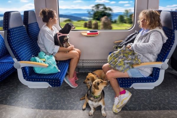 Urlaub mit Hund im Zug