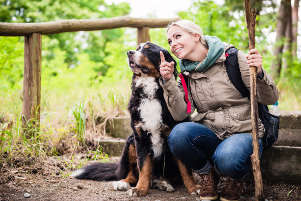 Wandern mit Hund - Frau und Hund machen eine Pause beim Wandern 