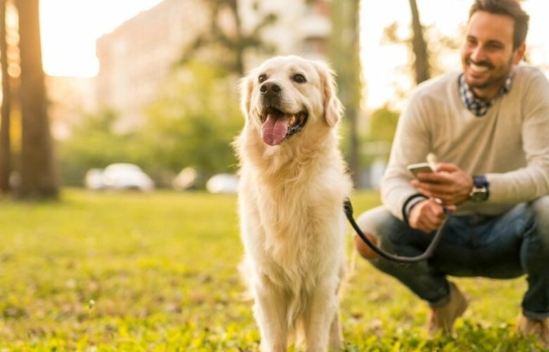 Welcher Hund passt zu mir: Mann mit Hund auf einer Rasenfläche