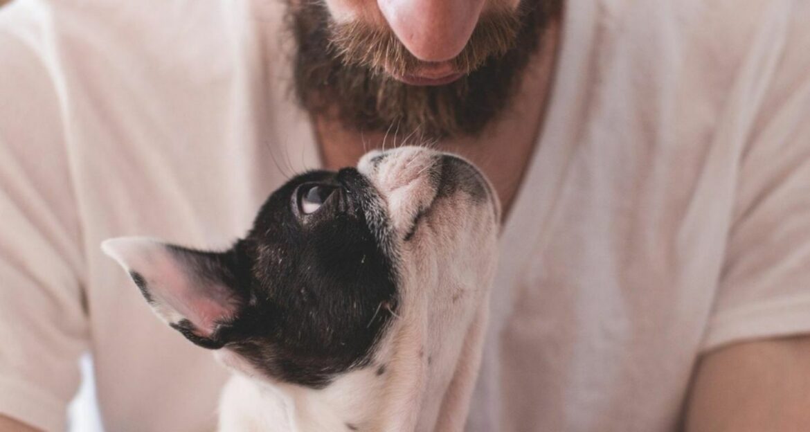 Warum leckt mein Hund mich immer ab? edogs Magazin