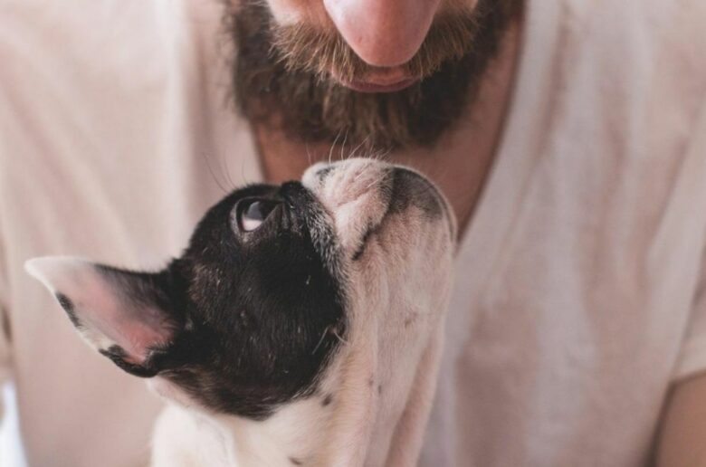 Wie zeigt ein Hund seine Liebe: Welpe blickt auf sein Herrchen hoch